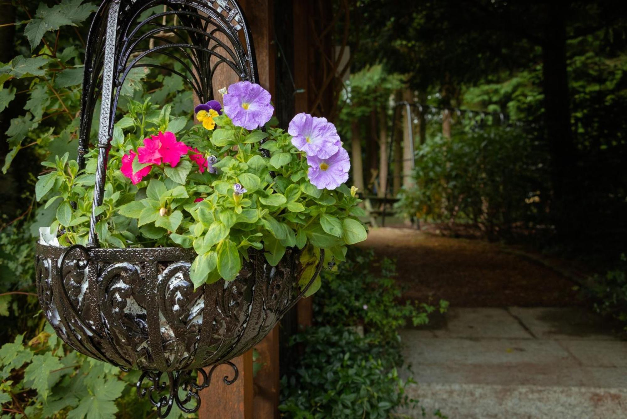 فيلا Croneybyrne Courtyard Clara المظهر الخارجي الصورة